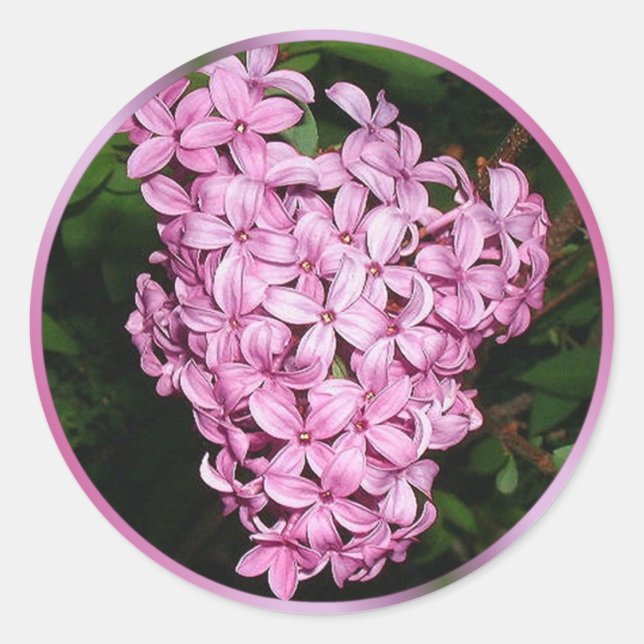 Scent of Lilacs Classic Round Sticker (Front)