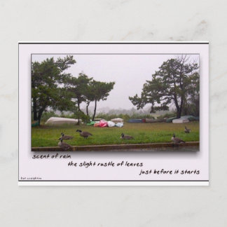 Scent of Rain Postcard