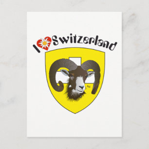 Schaffhausen Schweiz Postkarte Postcard