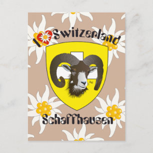 Schaffhausen Schweiz Postkarte Postcard