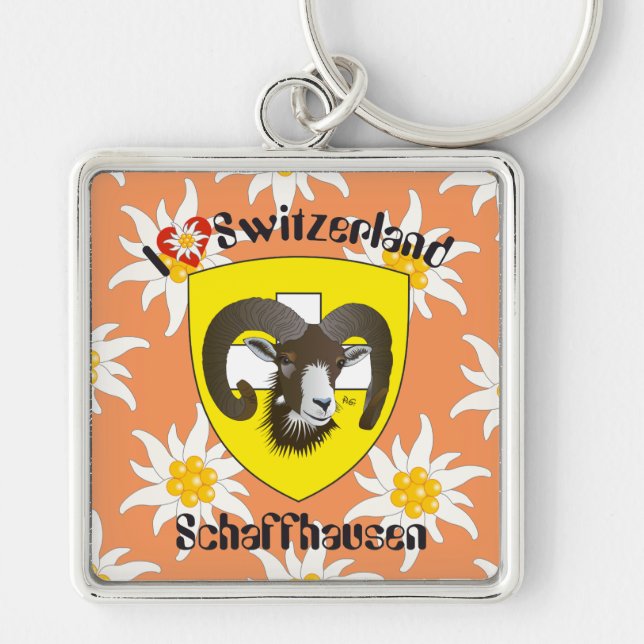 Schaffhausen Schweiz  Schlüsselanhänger Key Ring (Front)