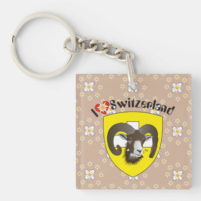 Schaffhausen - Schweiz - Suisse - Svizzera Key Ring (Front)