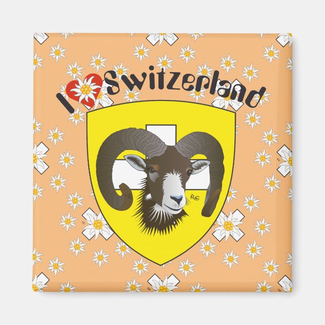 Schaffhausen - Schweiz - Suisse - Svizzera Magnet (Front)