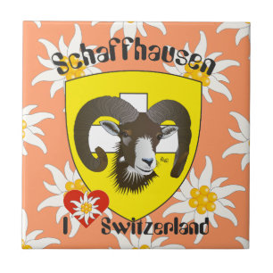 Schaffhausen - Switzerland - Suisse - Svizzera Fli Tile