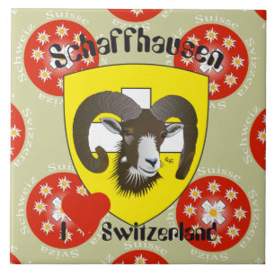 Schaffhausen - Switzerland - Suisse - Svizzera Fli Tile
