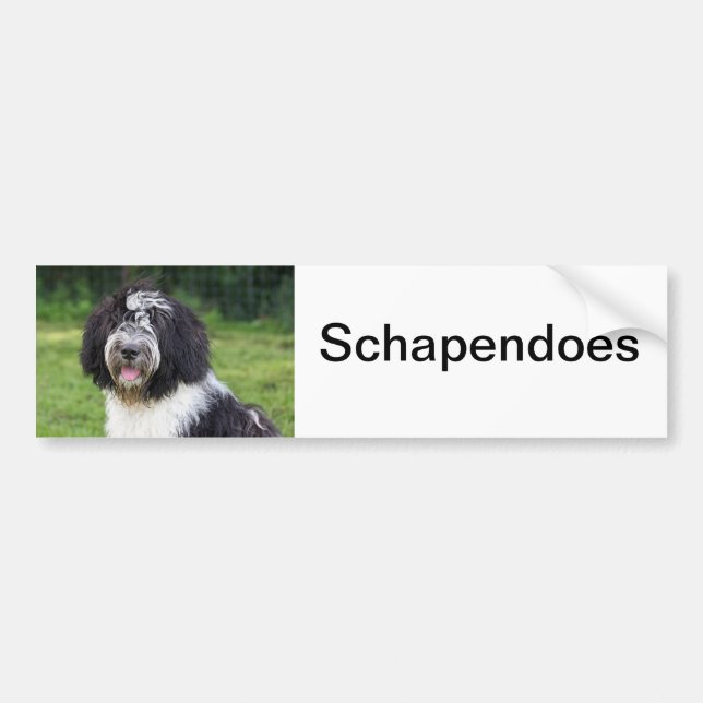 schapendoes bumper sticker (Front)