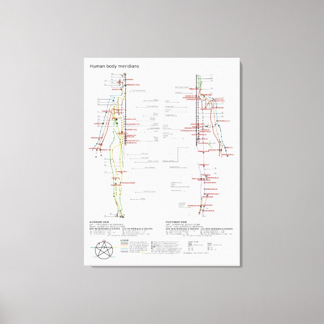 Schematic Chart Chinese Human Body Meridians Canvas Print (Front)