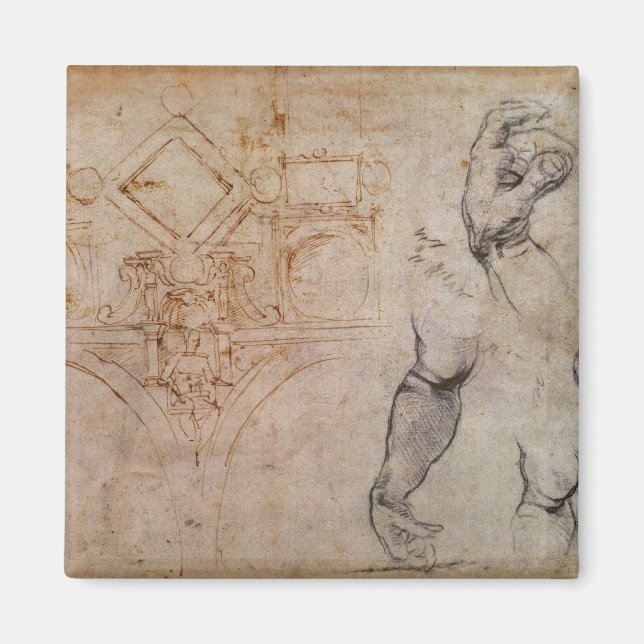 Scheme for the Sistine Chapel Ceiling, c.1508 Magnet (Front)