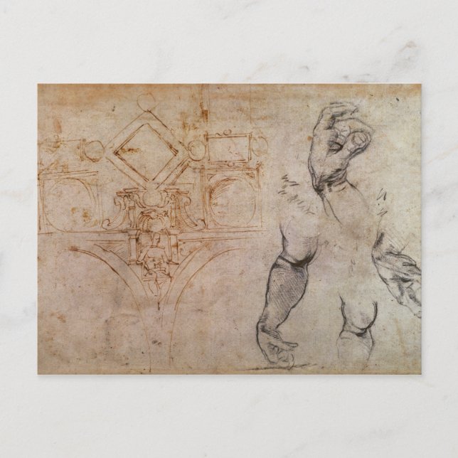 Scheme for the Sistine Chapel Ceiling, c.1508 Postcard (Front)