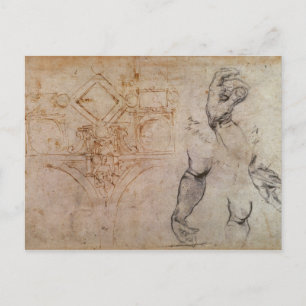 Scheme for the Sistine Chapel Ceiling, c.1508 Postcard