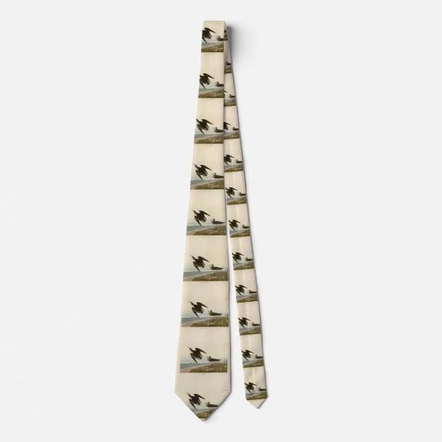 Schinz's Sandpiper from Audubon's Birds of America Tie (Front)