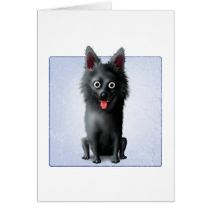 Schipperke