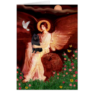 Schipperke 2 - Seated Angel