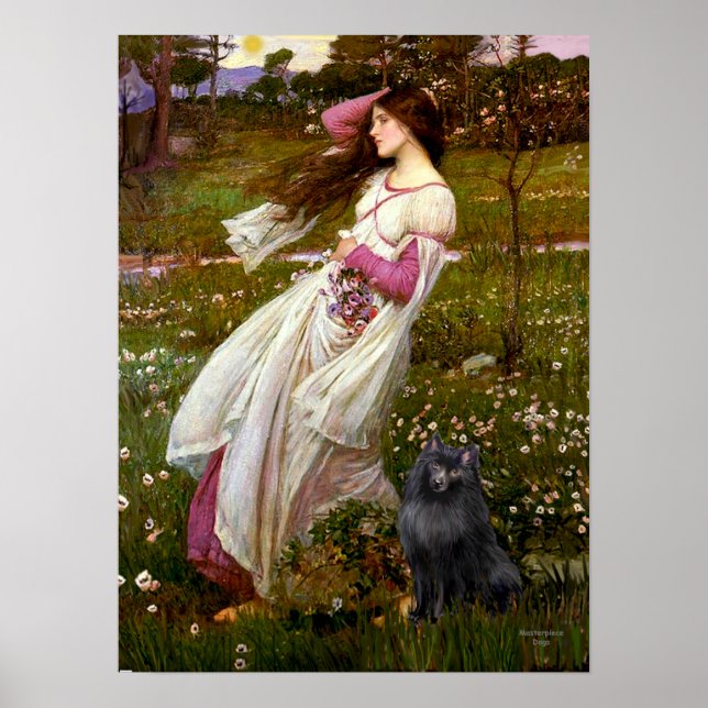 Schipperke 2 - Windflowers Poster (Front)