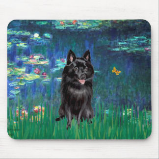 Schipperke 4 - Lilies 5 Mouse Mat