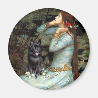 Schipperke 4 - Ophelia Seated Magnet