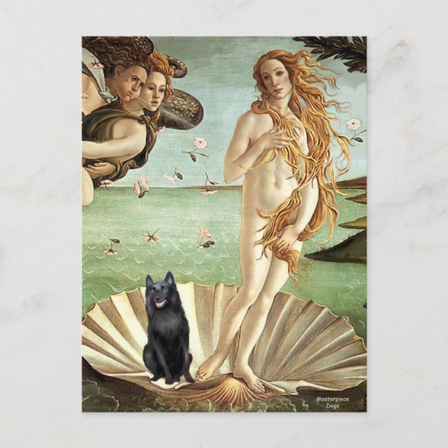 Schipperke 5 - Birth of Venus Postcard (Front)