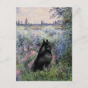 Schipperke 6 - By the Seine Postcard