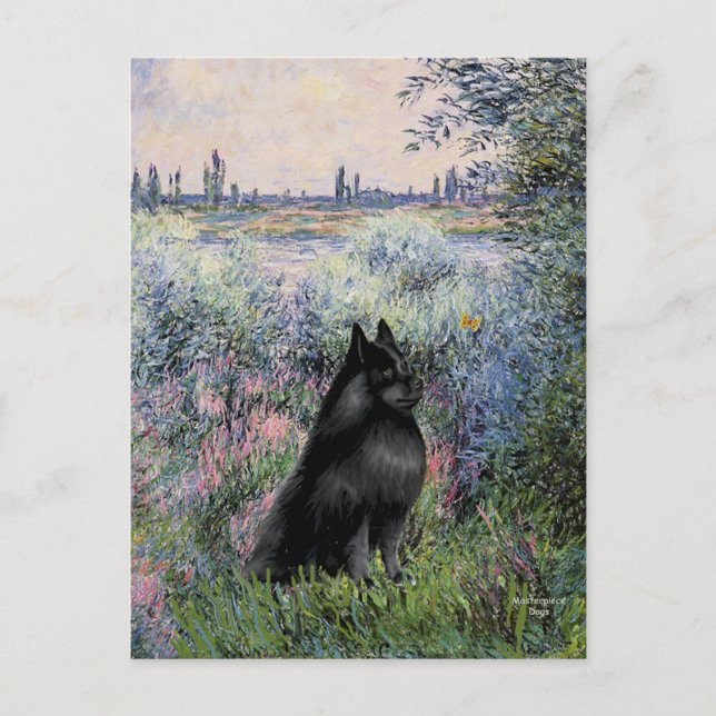Schipperke 6 - By the Seine Postcard (Front)