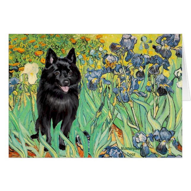 Schipperke 7 - Irises (Front Horizontal)