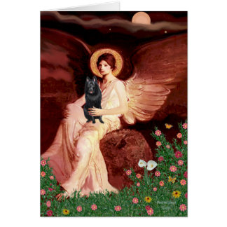 Schipperke 7 - Seated Angel