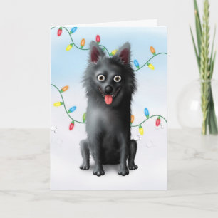 Schipperke Christmas Holiday Card