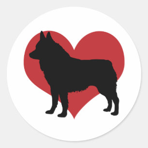 Schipperke Classic Round Sticker