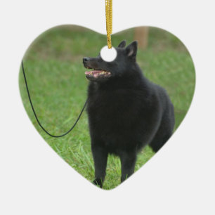 Schipperke Dog Ceramic Tree Decoration