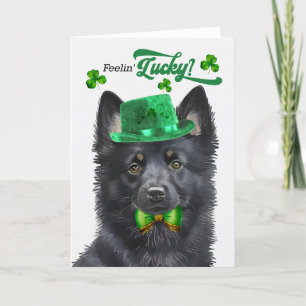 Schipperke Dog Feelin' Lucky St Patrick's Day Holiday Card