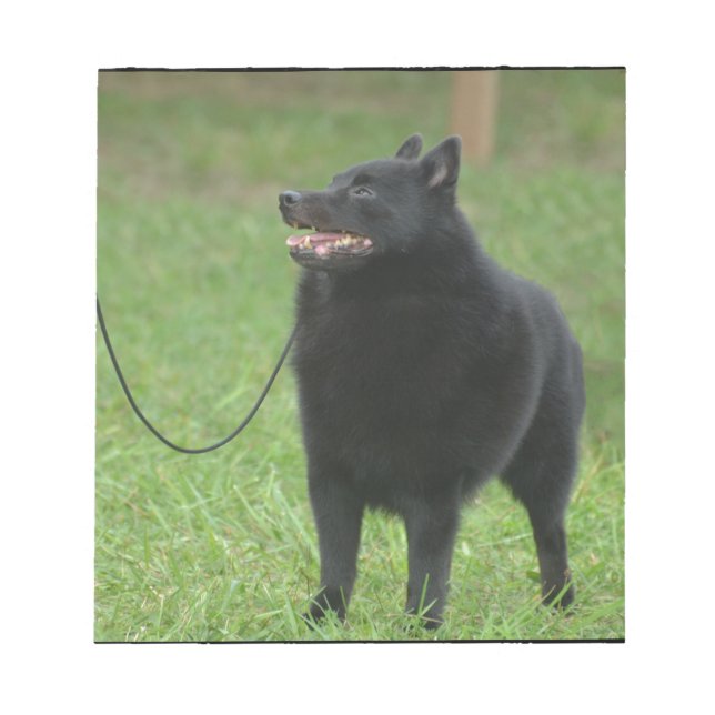Schipperke Dog Notepad (Front)