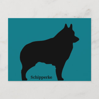 Schipperke dog silhouette postcard