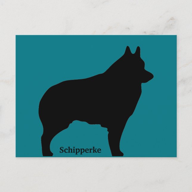 Schipperke dog silhouette postcard (Front)