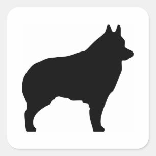 Schipperke dog silhouette square sticker