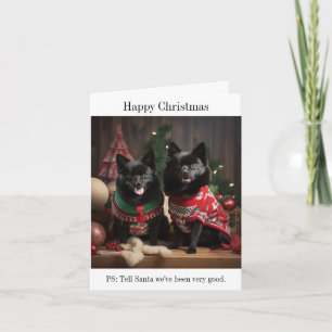 Schipperke Dogs Happy Christmas Card