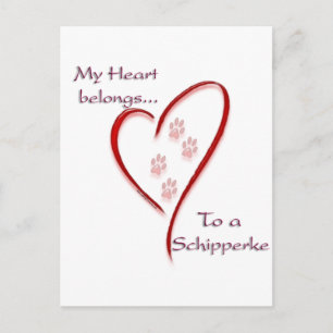 Schipperke Heart Belongs Postcard