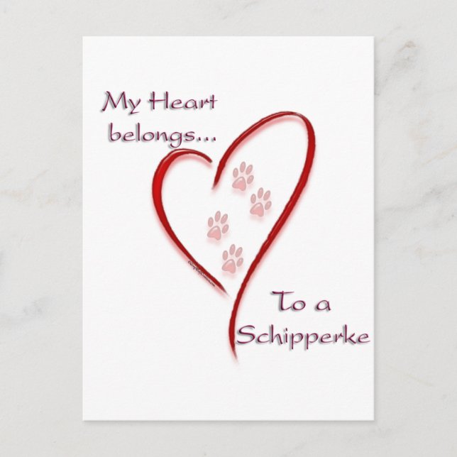 Schipperke Heart Belongs Postcard (Front)