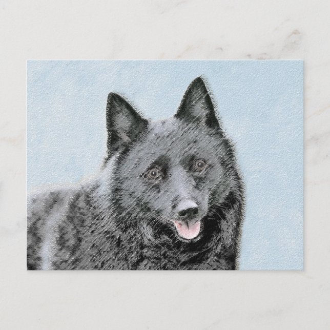 Schipperke Painting - Cute Original Dog Art Postcard (Front)
