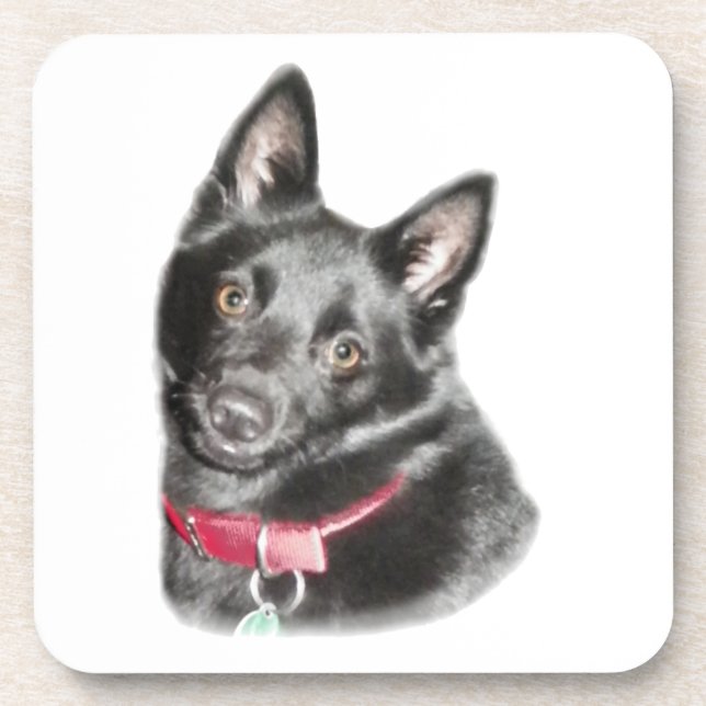 Schipperke Picture Coaster (Front)