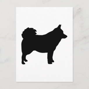 Schipperke Postcard