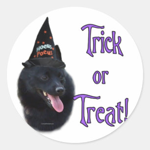 Schipperke Trick Classic Round Sticker