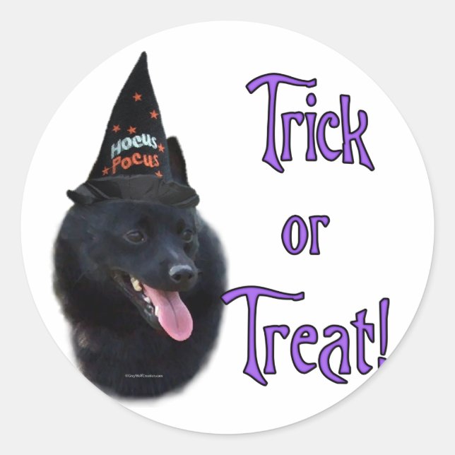 Schipperke Trick Classic Round Sticker (Front)