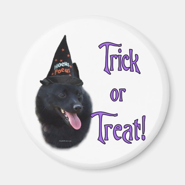 Schipperke Trick Magnet (Front)