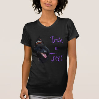 Schipperke Trick T-Shirt
