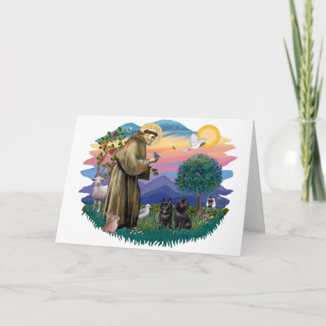 Schipperke (two) card (Front)