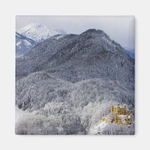 Schloss Hohenschwangau Magnet