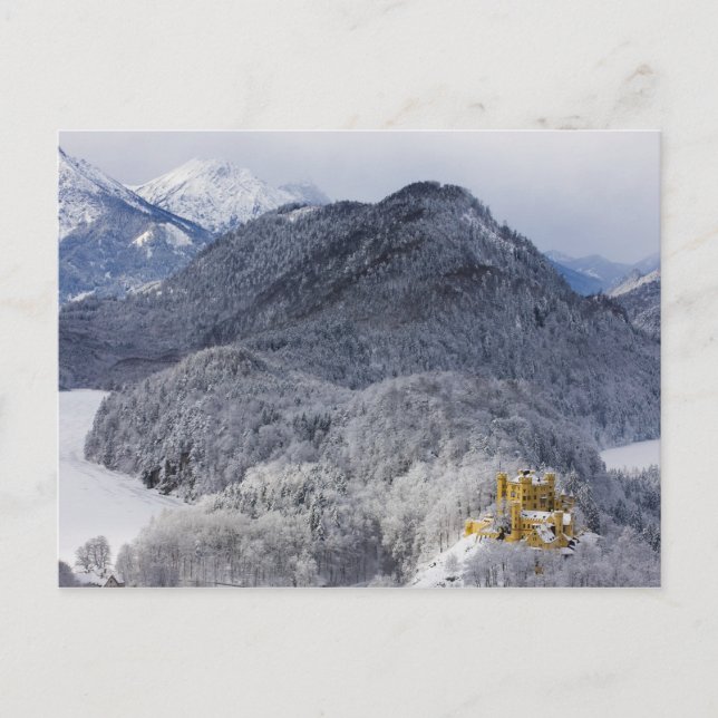 Schloss Hohenschwangau Postcard (Front)