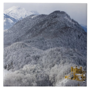 Schloss Hohenschwangau Tile