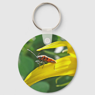Schlüsselanhänger roter Punktekäfer Key Ring