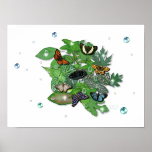 Schmetterlinge mit Blätter, Regentropfen, Perlen Poster