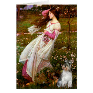 Schnauzer 11N - Windflowers